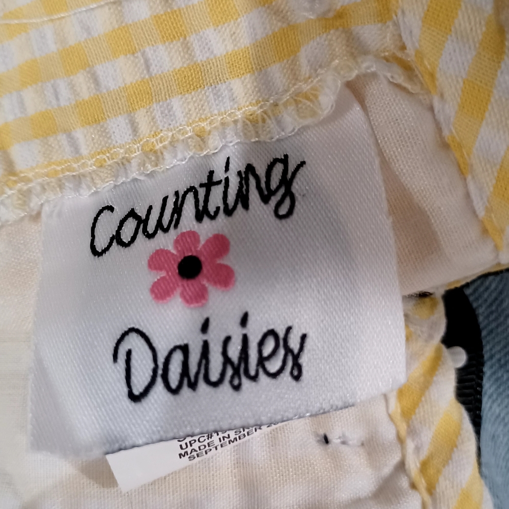 Counting Daisies Sz 2 Seersucker Toddler Sleeveless Dress, Ruffled Collar. #0045 - Picture 11 of 12